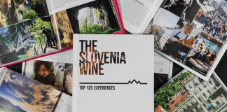 TOP Wine experiences in Slovenia