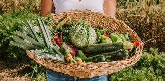 Organic Garden at Terme Krka SPA terme krka