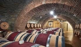 Slovenian winemaker of the week: Dobrovo Castle