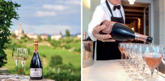 Medot Winery / Goriška Brda / Slovenia