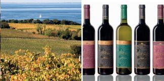 Vina Koper Winery / Slovenian Istria wine region Wina Koper Winery