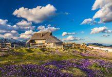 What to do in Slovenia in the spring?