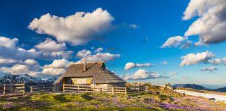 What to do in Slovenia in the spring?