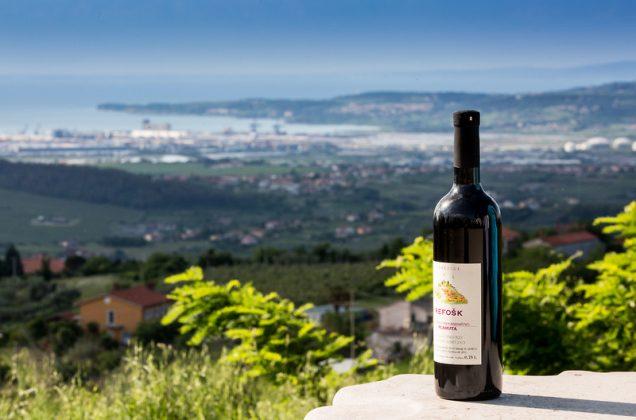 Top Slovenian wines - THE Slovenia