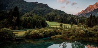 Top Trip to Zelenci – Natural reserve