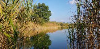Kočevsko or Rudniško lake