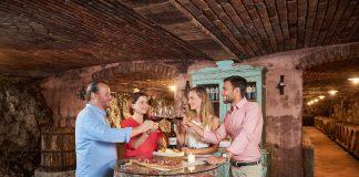 Top Slovenian Wine: Modra Frankinja / Blaufränkisch Top Slovenian wine modra frankinja Blaufränkisch