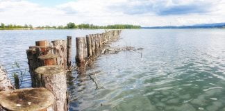 Izlet na Ptujsko jezero