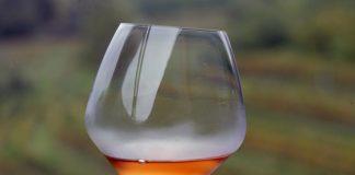 Top Slovenian wine: Orange wine