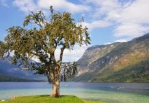 Izlet na Bohinjsko jezero