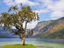 Izlet na Bohinjsko jezero