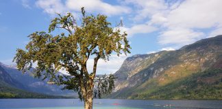 Izlet na Bohinjsko jezero