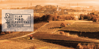 Slap Vino Festival bo tokrat virtualen