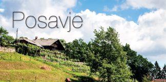TOP Winemakers in Slovenia Posavje wine region Posavje wine region