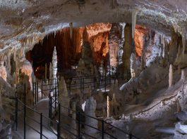 Kam na izlet? Postojna