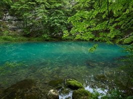 Izlet na Divje jezero