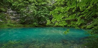 Izlet na Divje jezero