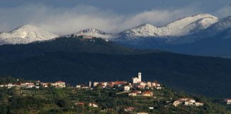 Where to go on a trip? Goriška Brda