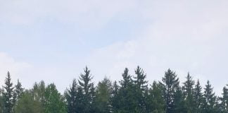 Izlet na Ivarčko jezero