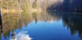 Jezero tedna: jezera v parku Brdo pri Kranju