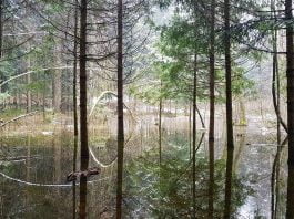 Izlet na jezerce na Malem Placu