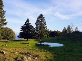 Izlet na jezero Biba