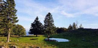 Izlet na jezero Biba