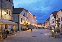 Kam na izlet? Radovljica