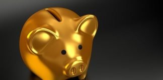 Youngest Slovenian millionaires