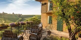 Slovenian winemaker of the week: Kabaj Wines
