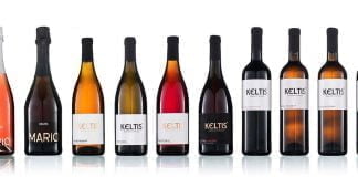 Wine in Slovenia: Average Slovenian drinks 35 litres – 46 Bottles of Wine a Year
