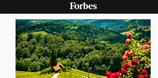 Forbes izpostavil Slovenijo kot eno najbolj romantičnih destinacij za Valentinovo