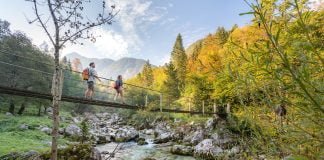 Slovenian news: Weekly updates