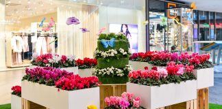 V ALEJI odprtje velike cvetlične razstave