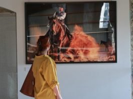 Trenutki Ulija Webra na ogled na Ljubljanskem gradu