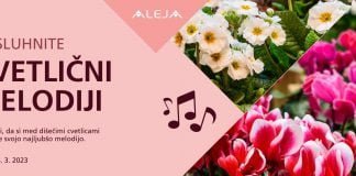 Velika cvetlična razstava v ALEJI