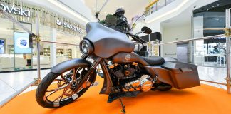 Brezčasni Harley-Davidsoni in poslikave teles v Cityparku