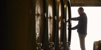 Slovenia’s Wine Gem: Discovering the Beauty and Flavor of Golden Hill Winery