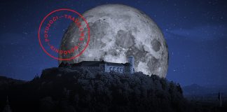 Film pod zvezdami 2023 – program, vstopnice, informacije