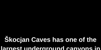 TOP 100 Facts about Slovenia