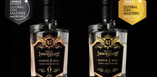 Top slovenski gini: Slovenski gin – od nebeških arom, karakterja, monologov in polomljenih kosti