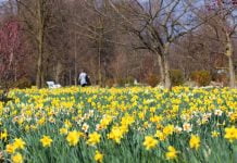 Idea for a spring trip: Arboretum Volčji Potok