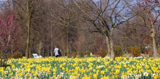 Idea for a spring trip: Arboretum Volčji Potok