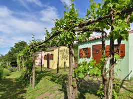Hiške slovenske Istre: mirna lokacija z razgledom na Koprski in Tržaški zaliv