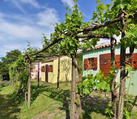 Hiške slovenske Istre: mirna lokacija z razgledom na Koprski in Tržaški zaliv