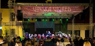 Trije vinski festivali vinorodne dežele Posavje 2024