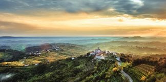 Kam na izlet? Goriška Brda