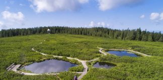 Where to go for a trip? Rogla-Pohorje