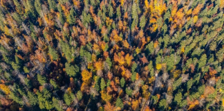 Hodimo: Javorniki – divjina pred našim pragom