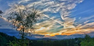 Izlet na Koseški bajer